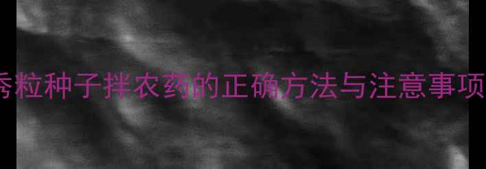 图片 小麦增产秘诀！秀粒种子拌农药的正确方法与注意事项（附图文教程）2
