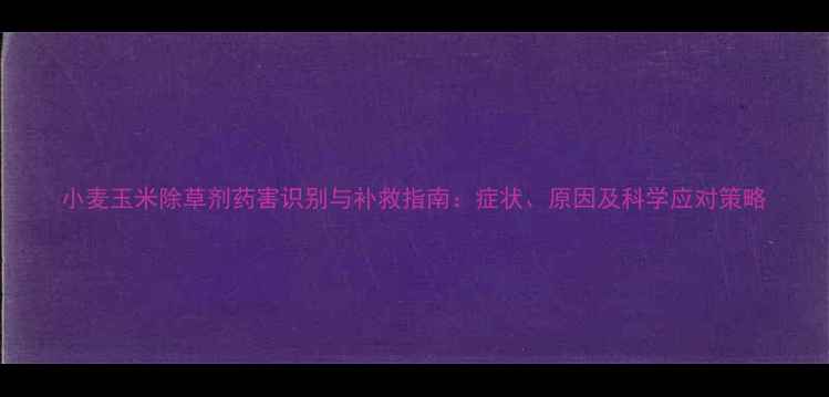图片 小麦玉米除草剂药害识别与补救指南：症状、原因及科学应对策略