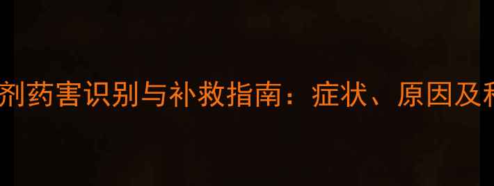 图片 小麦玉米除草剂药害识别与补救指南：症状、原因及科学应对策略2