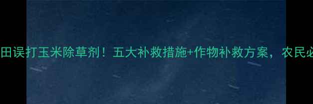图片 小麦田误打玉米除草剂！五大补救措施+作物补救方案，农民必看1