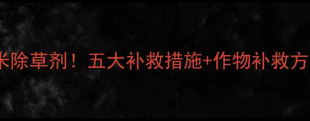 图片 小麦田误打玉米除草剂！五大补救措施+作物补救方案，农民必看2