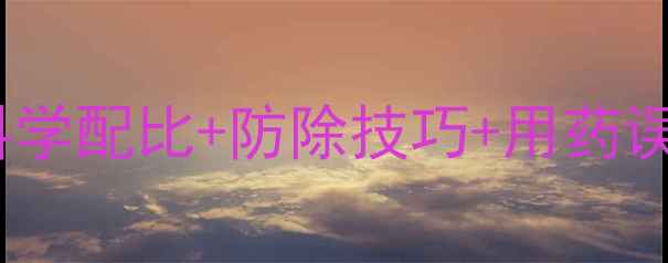 图片 小麦除草剂全攻略：科学配比+防除技巧+用药误区，新手老农必看！2