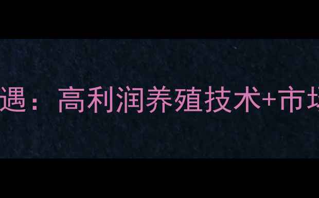 图片 山东地区牛蛙饲料代理新机遇：高利润养殖技术+市场前景深度（附最新数据）2
