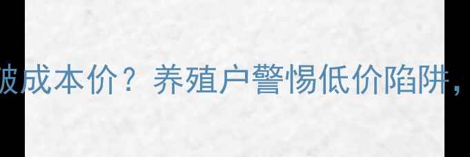 图片 山东地区鸡饲料价格跌破成本价？养殖户警惕低价陷阱，这份采购指南助你避坑
