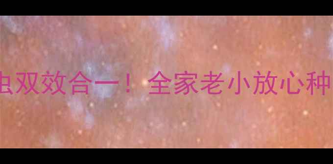 图片 山东寿光三兄弟农药杀菌杀虫双效合一！全家老小放心种菜指南（附真实使用对比）1