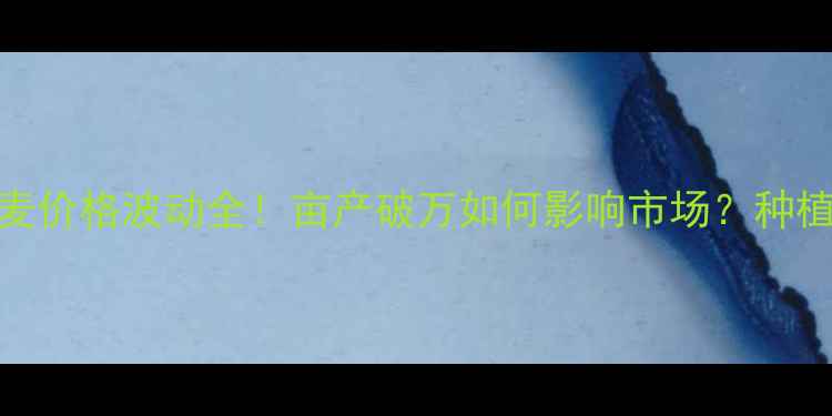 图片 山东泰安小麦价格波动全！亩产破万如何影响市场？种植户必看攻略