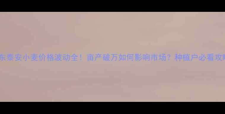 图片 山东泰安小麦价格波动全！亩产破万如何影响市场？种植户必看攻略1