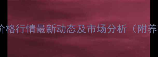 图片 山东烟台淘汰鸡价格行情最新动态及市场分析（附养殖户应对策略）1