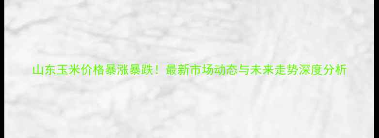 图片 山东玉米价格暴涨暴跌！最新市场动态与未来走势深度分析