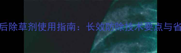 图片 山东玉米年后除草剂使用指南：长效防除技术要点与省钱增效方案