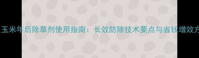图片 山东玉米年后除草剂使用指南：长效防除技术要点与省钱增效方案2