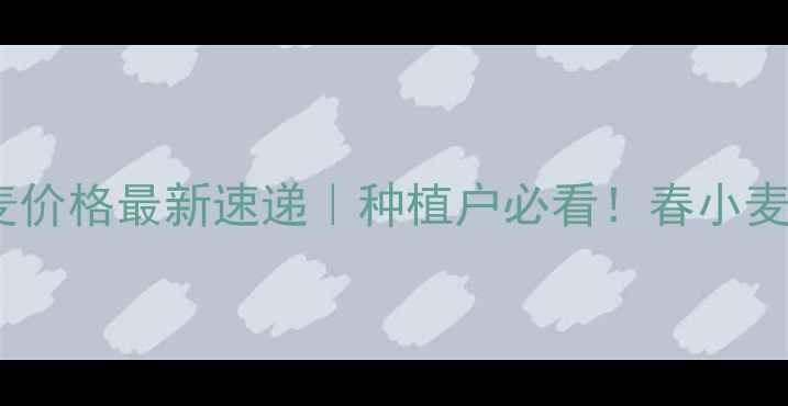 图片 山东省小麦价格最新速递｜种植户必看！春小麦行情深度1