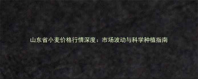 图片 山东省小麦价格行情深度：市场波动与科学种植指南