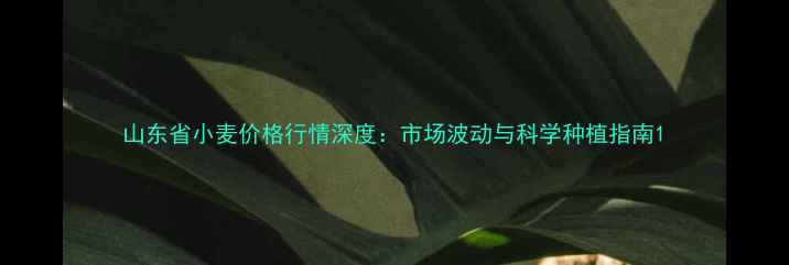 图片 山东省小麦价格行情深度：市场波动与科学种植指南1