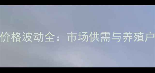 图片 山东肉毛价格波动全：市场供需与养殖户应对策略