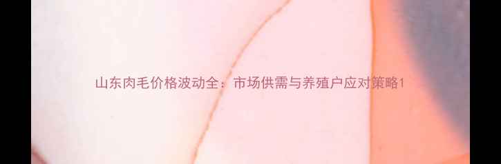 图片 山东肉毛价格波动全：市场供需与养殖户应对策略1