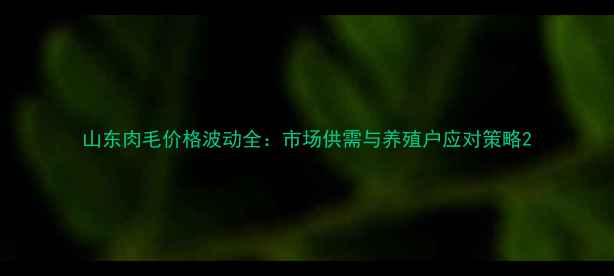 图片 山东肉毛价格波动全：市场供需与养殖户应对策略2