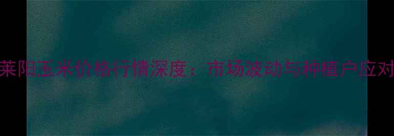 图片 山东莱阳玉米价格行情深度：市场波动与种植户应对策略