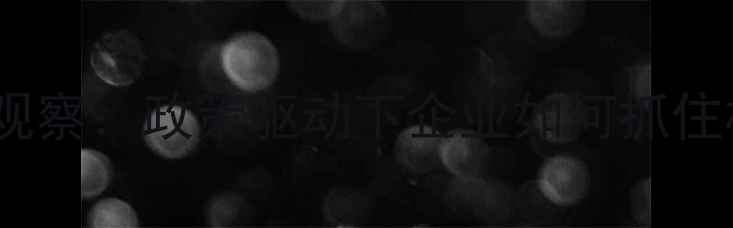 图片 山东饲料行业深度观察：政策驱动下企业如何抓住机遇实现转型升级1