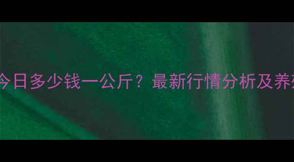 图片 山东鸡蛋价格今日多少钱一公斤？最新行情分析及养殖户应对策略1