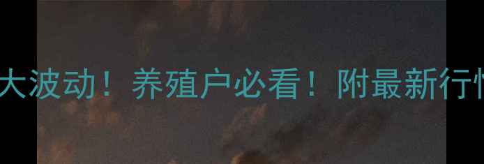 图片 山西豆粕价格今日大波动！养殖户必看！附最新行情分析及养殖建议2
