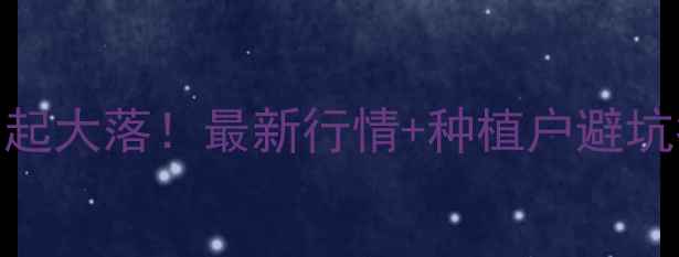 图片 巴彦淖尔玉米价格大起大落！最新行情+种植户避坑指南（附种植技术）