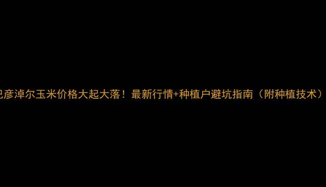 图片 巴彦淖尔玉米价格大起大落！最新行情+种植户避坑指南（附种植技术）2