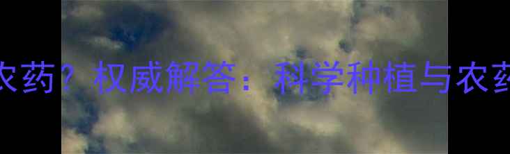 图片 带尖的西红柿是否含农药？权威解答：科学种植与农药残留的五大判断标准