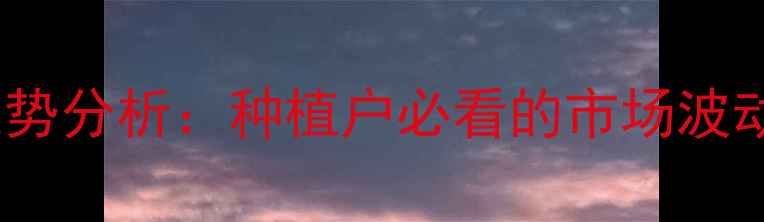 图片 干玉米价格走势分析：种植户必看的市场波动与应对策略1