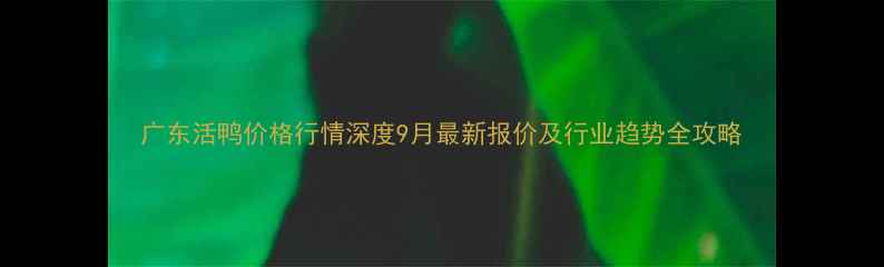 图片 广东活鸭价格行情深度9月最新报价及行业趋势全攻略