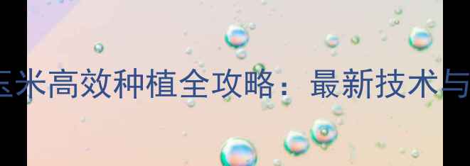 图片 广东饲料玉米高效种植全攻略：最新技术与增产方案1