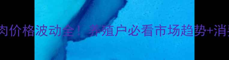 图片 广西猪肉价格波动全！养殖户必看市场趋势+消费指南2