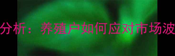 图片 广西生猪价格走势分析：养殖户如何应对市场波动？最新数据解读