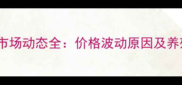 图片 广西肉鸡价格市场动态全：价格波动原因及养殖户应对策略1
