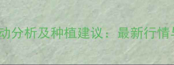 图片 徐州玉米价格波动分析及种植建议：最新行情与市场趋势解读1