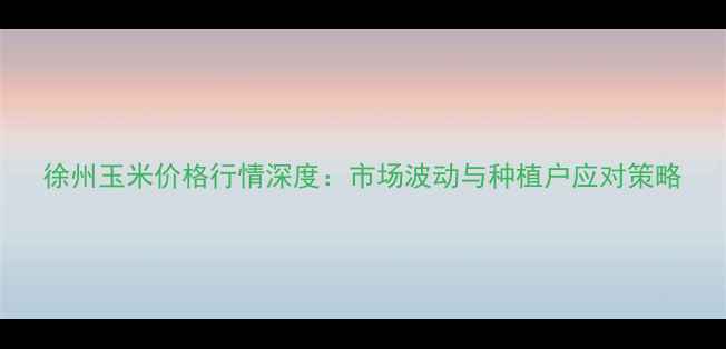 图片 徐州玉米价格行情深度：市场波动与种植户应对策略