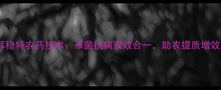 图片 德国拜耳稳特农药技术：杀菌抗病双效合一，助农提质增效新方案1
