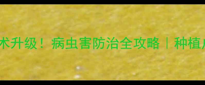 图片 德州祥龙农药公司技术升级！病虫害防治全攻略｜种植户必看绿色农业方案2