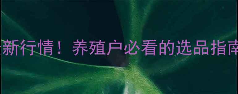 图片 成都饲料价格最新行情！养殖户必看的选品指南+市场趋势分析
