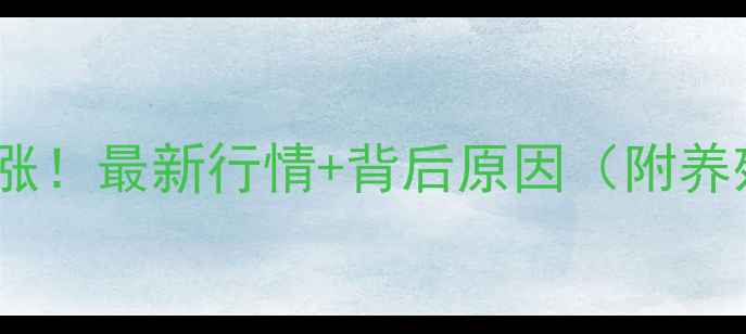 图片 扬州猪肉价格暴涨！最新行情+背后原因（附养殖户访谈）🔥🐷2