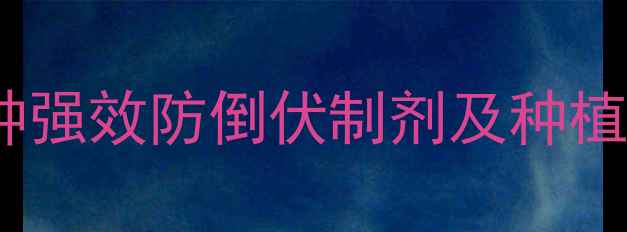 图片 抗倒伏农药推荐：10种强效防倒伏制剂及种植技术指南（最新版）1