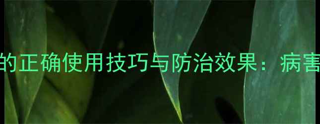 图片 敌磺钠农药的正确使用技巧与防治效果：病害防治全指南