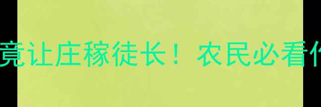 图片 救命！发现农药用错竟让庄稼徒长！农民必看作物拉长病急救指南2