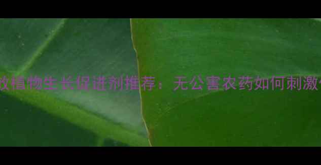 图片 新5种高效植物生长促进剂推荐：无公害农药如何刺激作物增产