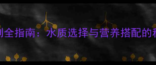 图片 新手必看！金鱼饲料泡制全指南：水质选择与营养搭配的科学方法（附图解步骤）