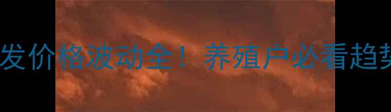 图片 新疆三黄鸡批发价格波动全！养殖户必看趋势与利润指南1
