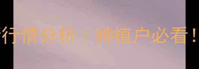 图片 晋城玉米收购价格最新行情分析｜种植户必看！附趋势解读+避坑指南