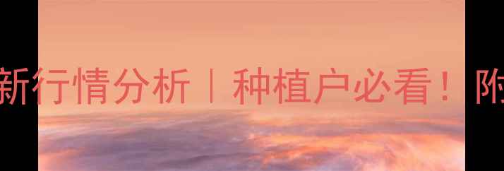 图片 晋城玉米收购价格最新行情分析｜种植户必看！附趋势解读+避坑指南1