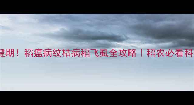 图片 晚稻丰收关键期！稻瘟病纹枯病稻飞虱全攻略｜稻农必看科学用药指南2