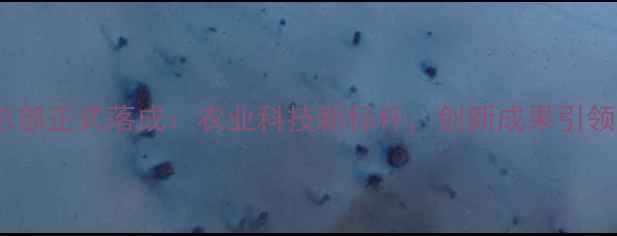 图片 普爱饲料总部正式落成：农业科技新标杆，创新成果引领行业未来1